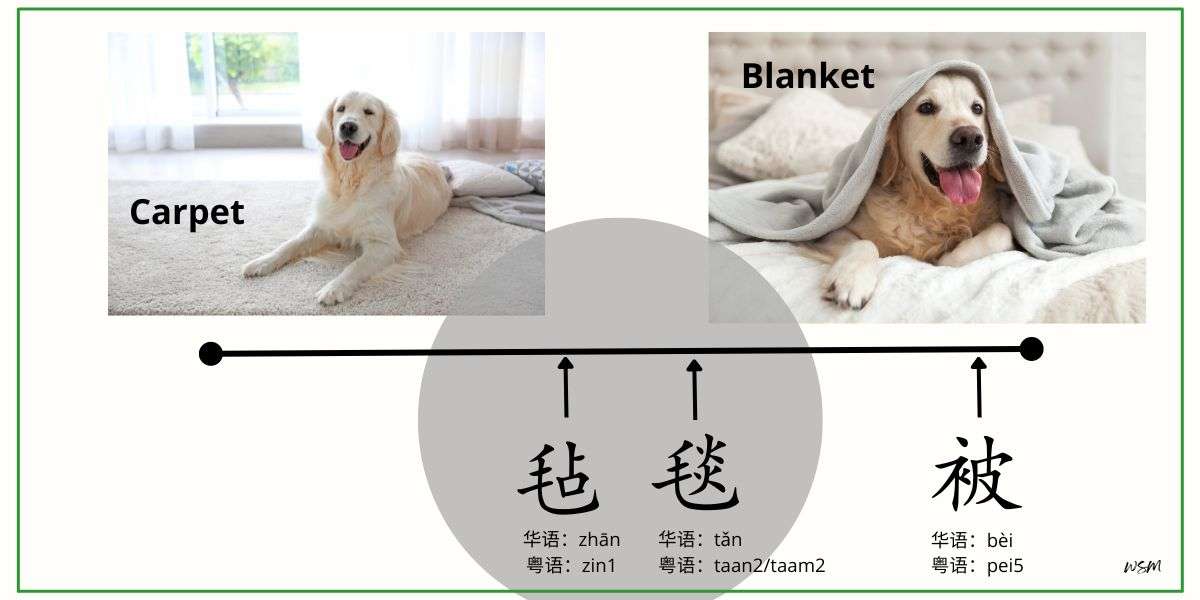 毡与毯的不同