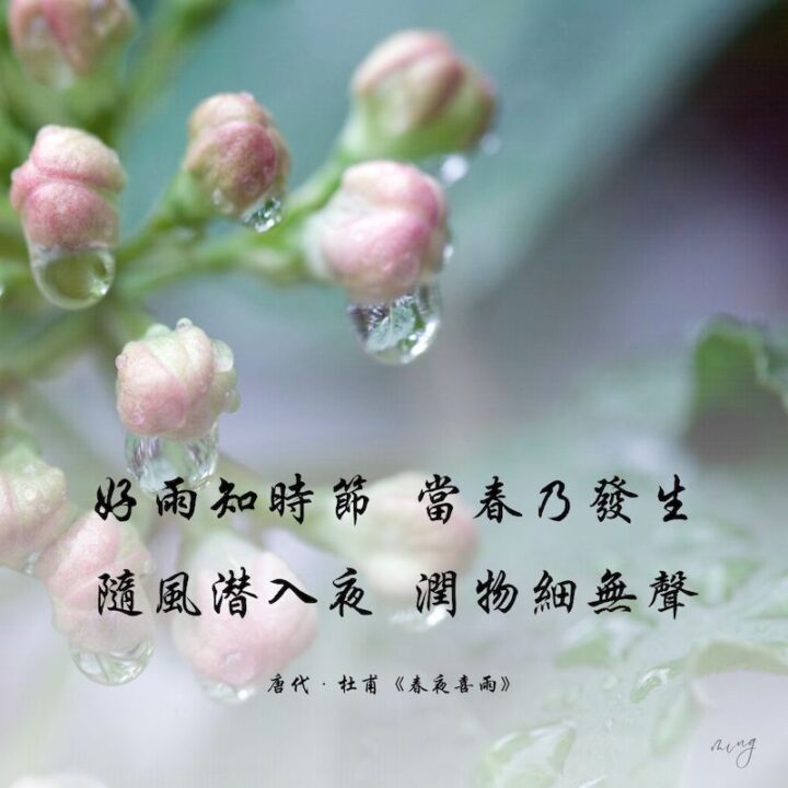 文学体裁的初解释