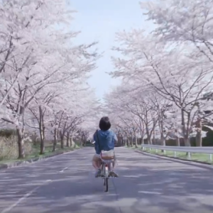 haijie diary our little sister 日本电影 海街日记 剧照