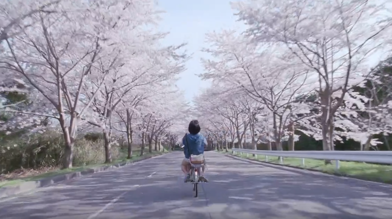 haijie diary our little sister 日本电影 海街日记 剧照